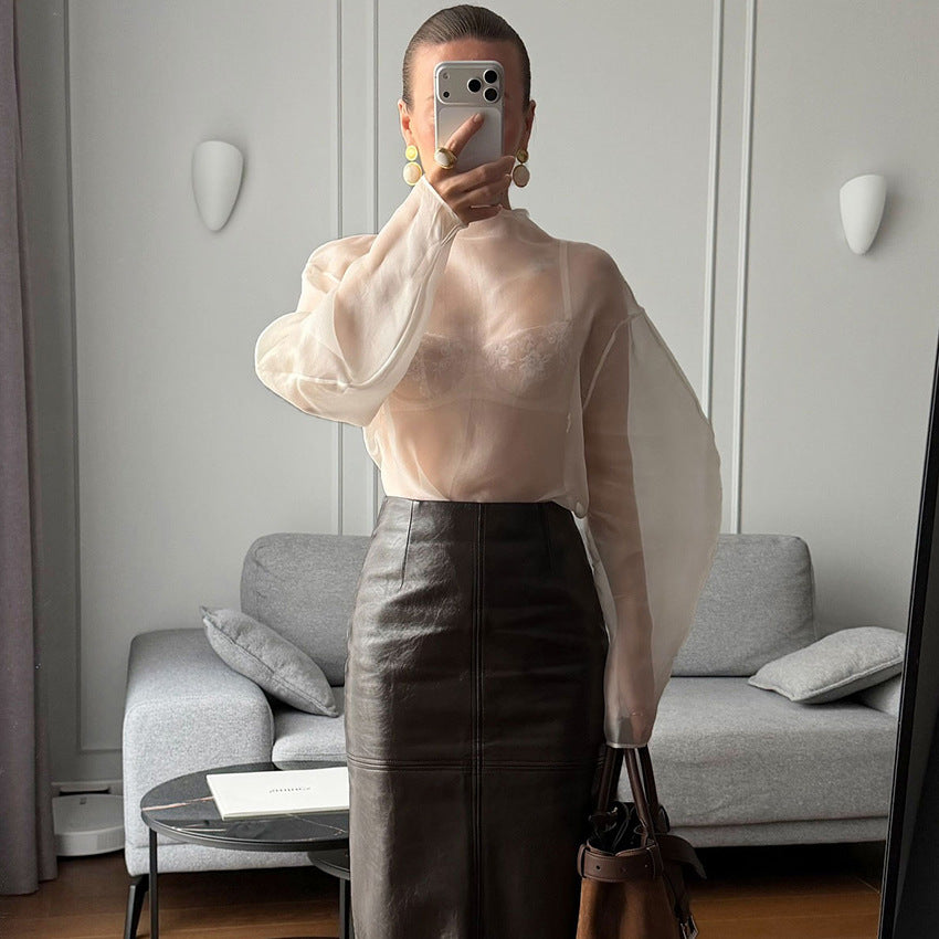 Sexy Sheer Mesh Long-Sleeve Shirt